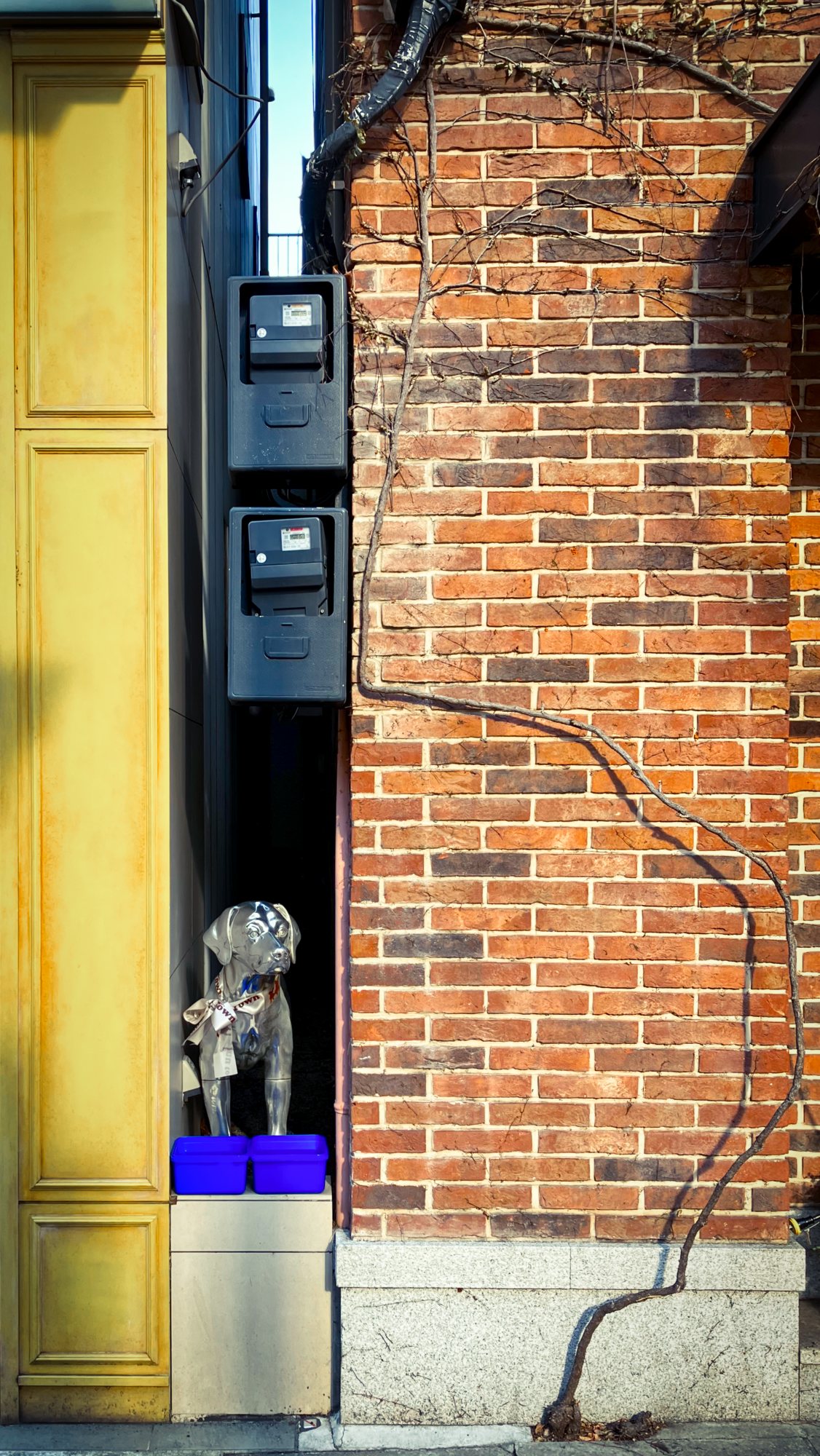image alt text