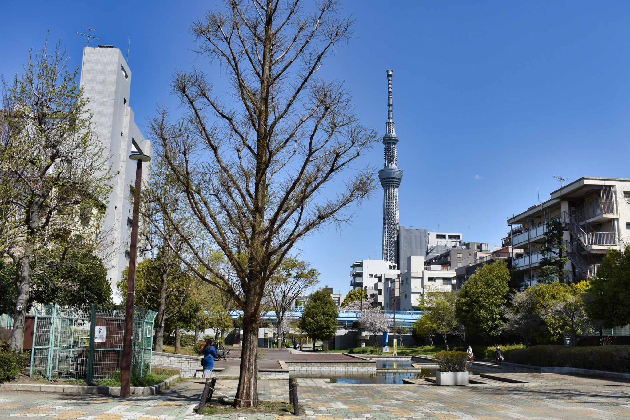 image alt text
