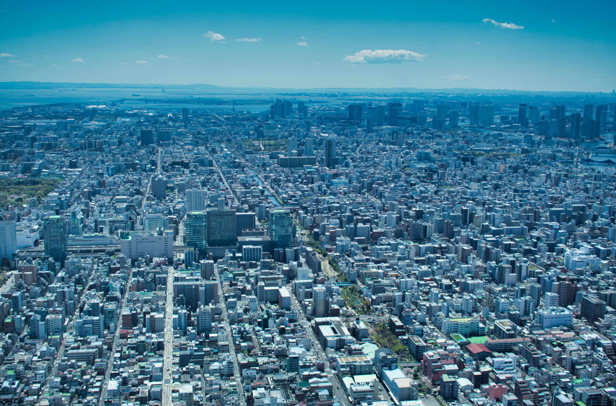 image alt text