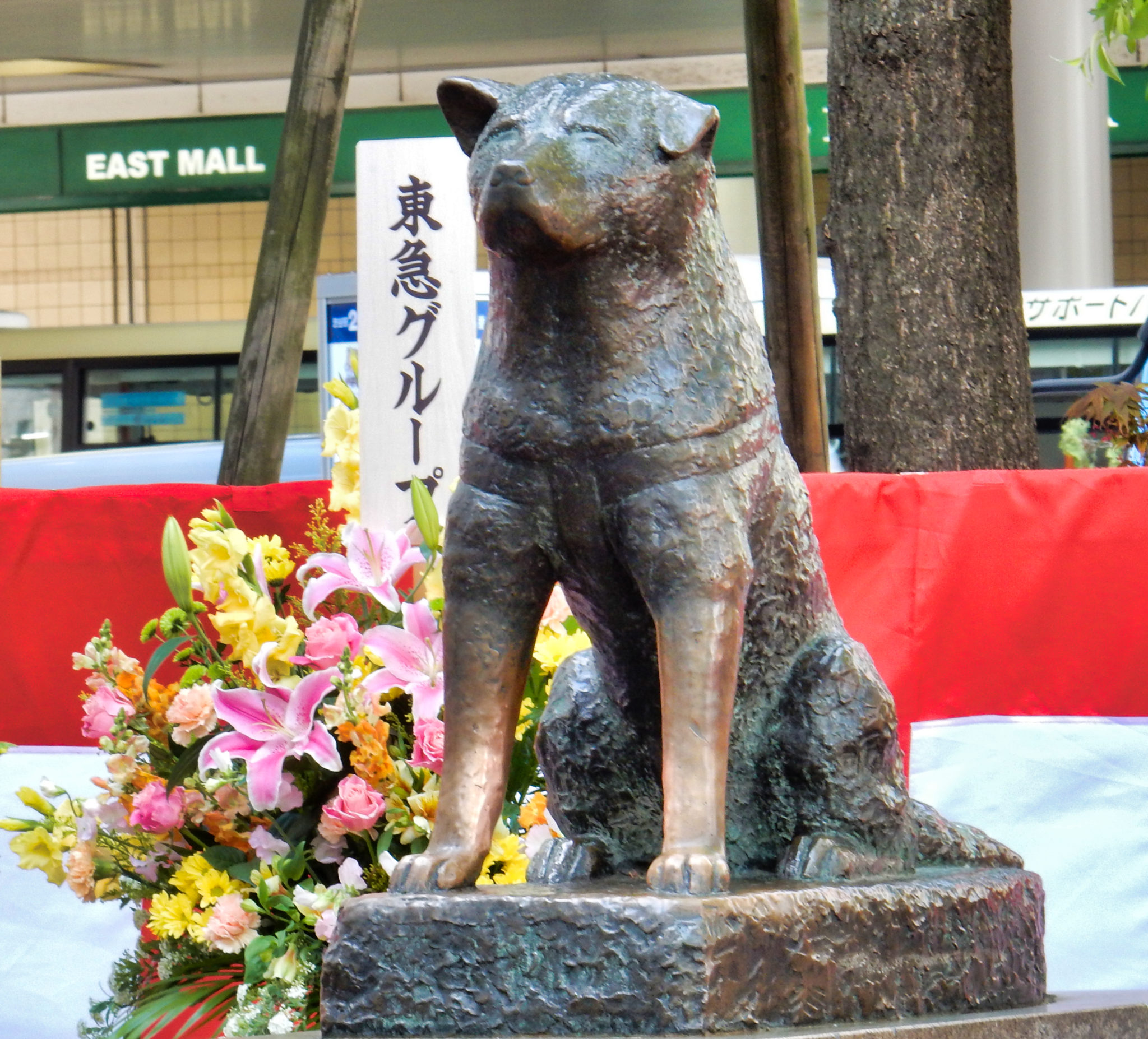 image alt text